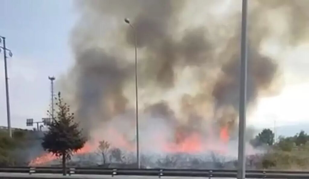 duzcede otoyol yaninda yangin NqsaivJi