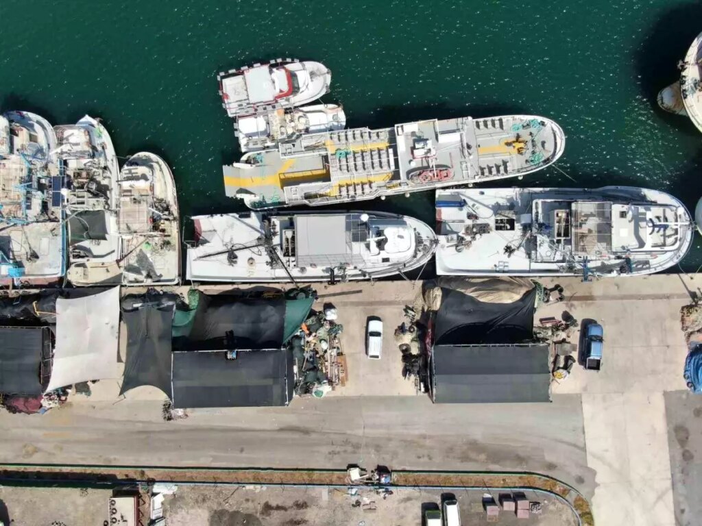 egede sardalyasiz av sezonu bekleniyor ksKfsmRt