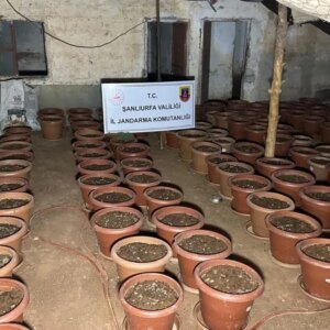 silah kacakciligi operasyonu 7 gozalti 4ELxbRH7