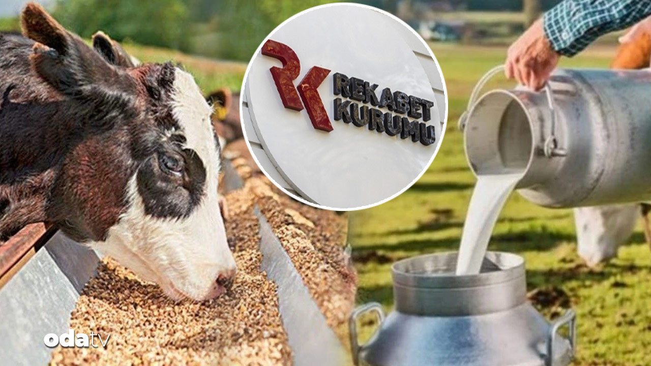 39 sut sanayicisine sut karsiligi yem sorusturmasi XOtBDUUb