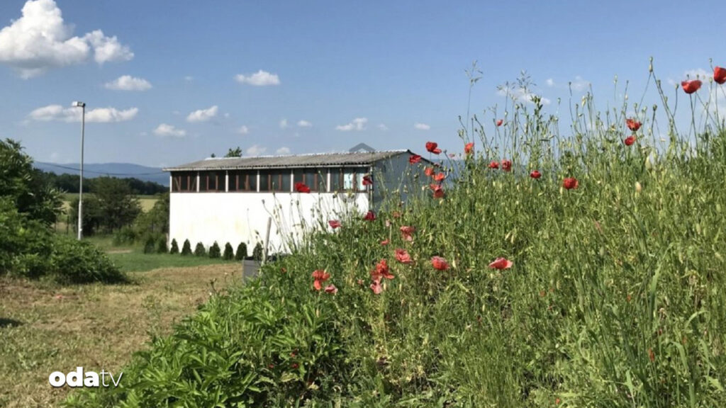 fiyati turkiyedeki villalarla yarisiyor nukleer siginakli ev ZXt4UJCa