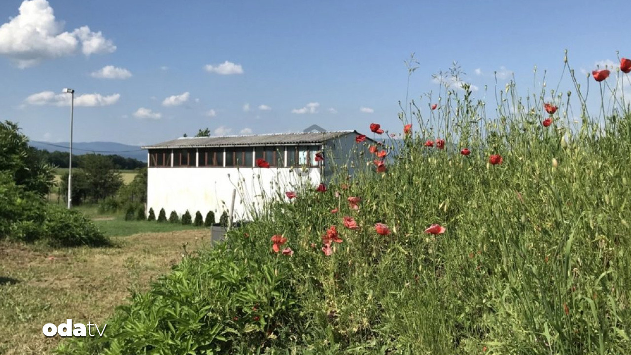 fiyati turkiyedeki villalarla yarisiyor nukleer siginakli ev ZXt4UJCa