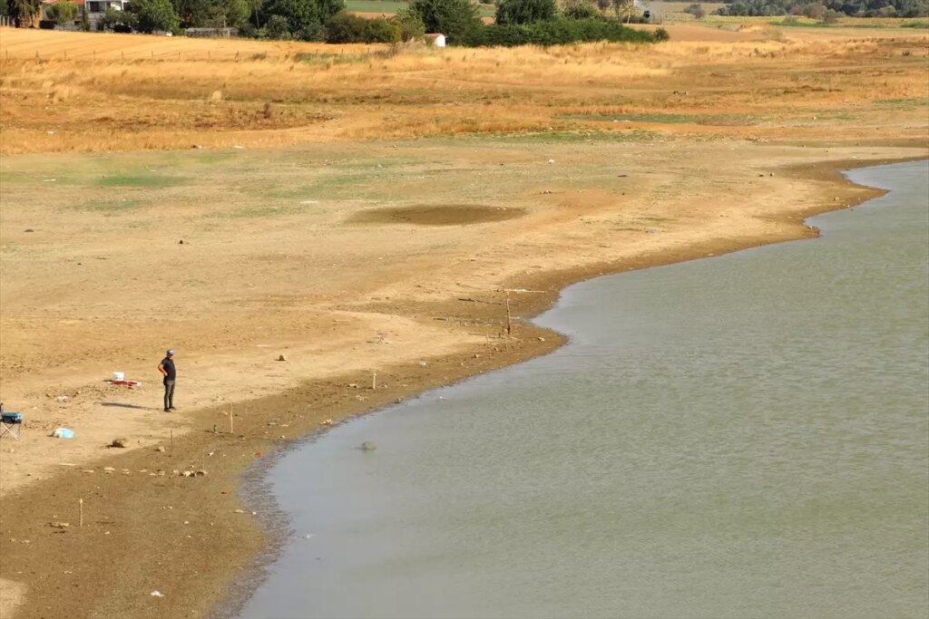 goletlerin artirilmasi kuraklikla mucadelede onemli cERYMptp