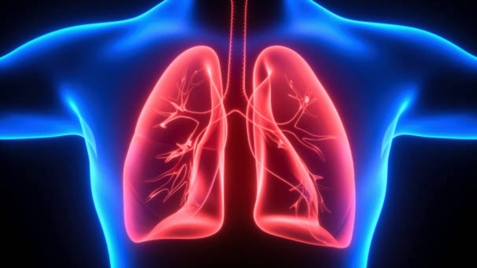 samsunda 1 yilda 188 kisiye nadir gorulen akciger hastaligi tanisi konuldu bircok kanser turunden daha fazla olume yol acabiliyor EAJEObZ5