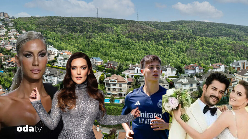 sosyetik sitede fare panigi acarkent alarma gecti qSdSFFXg