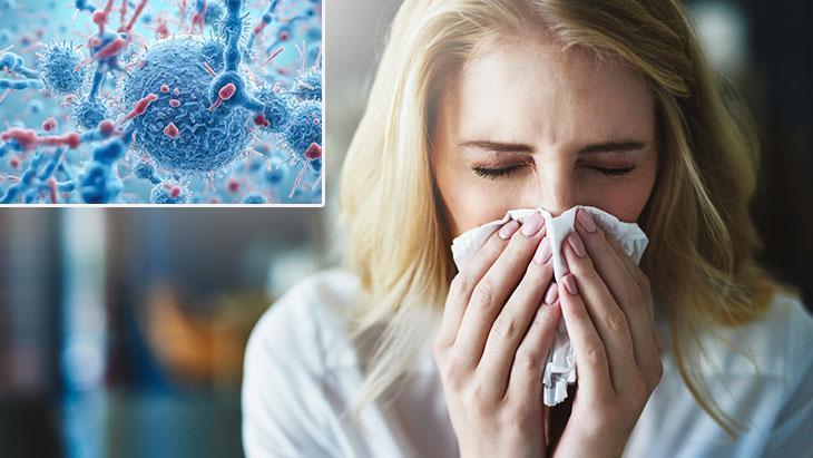 salginlar artiyor korunmanin anahtari mikrobiyotamizda kisa girmeden 3 bilincli adim YeteOdRH.jpg