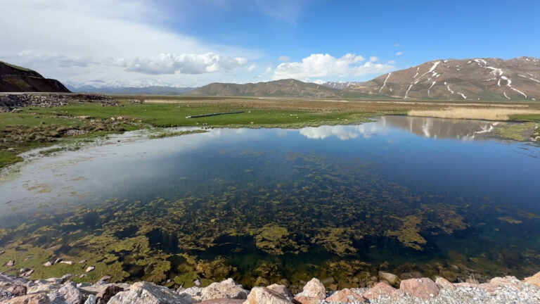 yuksekovada-sasirtan-goruntu-yilanlar-suru-halinde-ortaya-cikti-sDTVELaH
