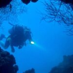 maldivlerdeki-magarada-dalis-yaparken-felaketi-yasadilar-4EDysXKl