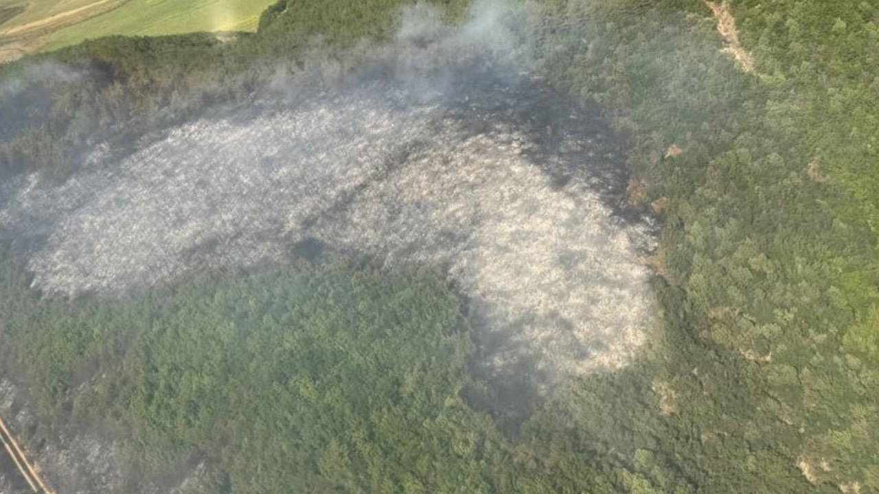 Tekirdagda yanginda 80 dekar orman zarar gordu CpsXSpUk